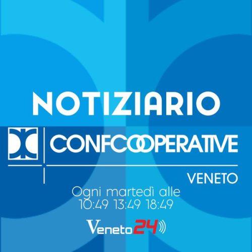 img-297d7d372b4243d7aad73366bb63d4b7.600x600_q85_crop