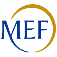 img-MEF-1