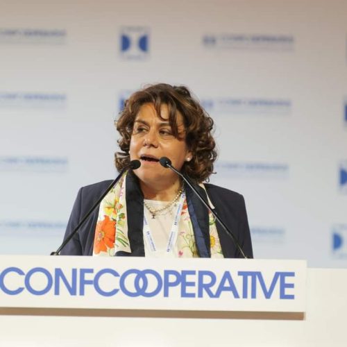 img-WhatsApp-Image-2024-07-10-at-11.25.551