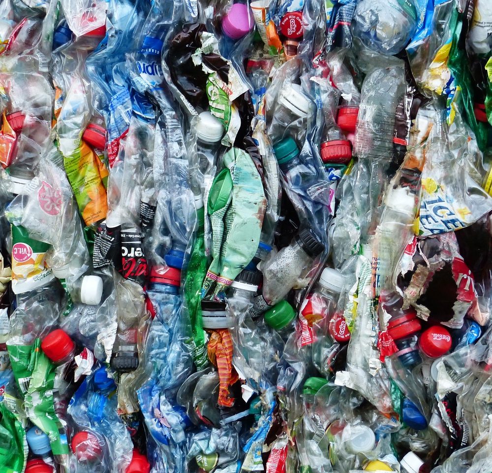 img-WhatsApp-Image-2024-11-08-at-10.33.54-11