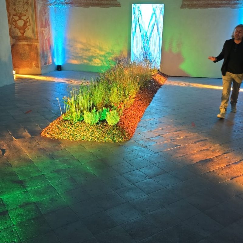 img-WhatsApp-Image-2025-02-19-at-10.32.09