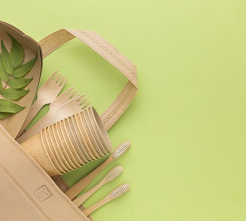 img-borsa-ecologica-con-posate