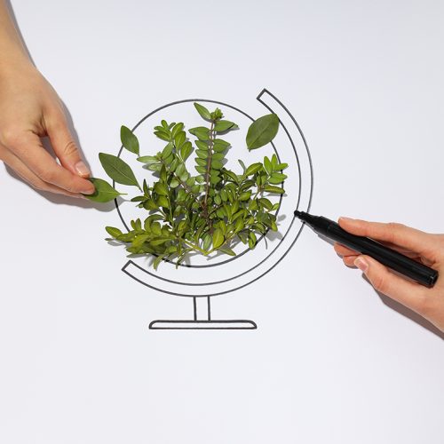 Earth Day, Environment concept and Eco concept