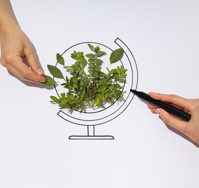 Earth Day, Environment concept and Eco concept