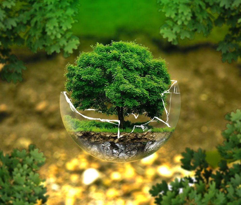 img-environmental-protection-326923_1280