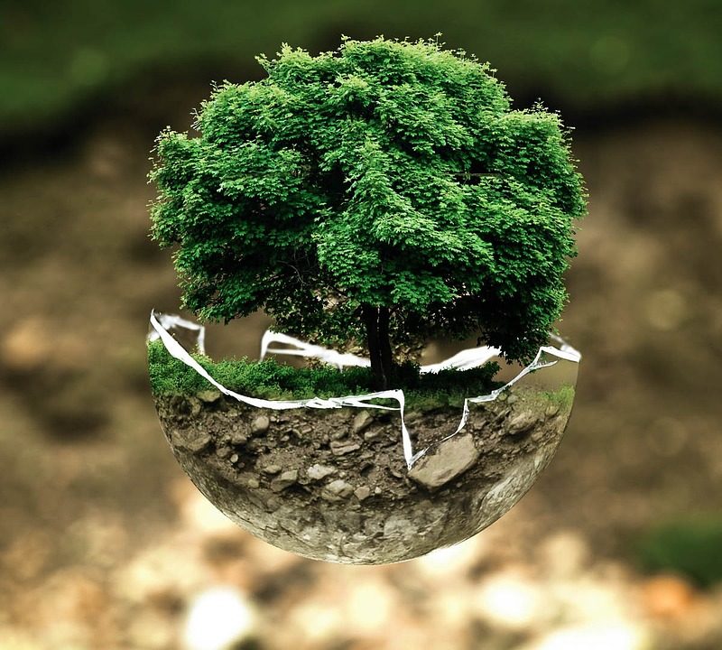 img-environmental-protection-683437_1280
