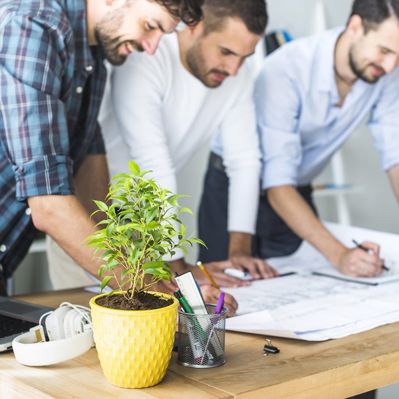 img-gruppo-di-architetto-maschio-che-lavora-al-modello-con-la-pianta-da-vaso-sullo-scrittorio