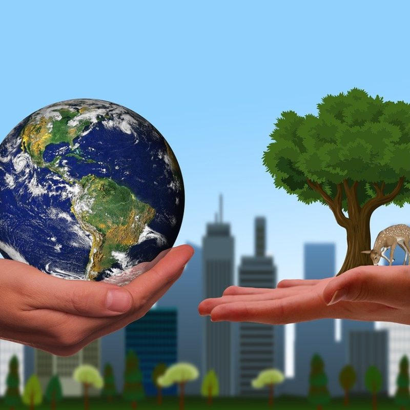 img-hands-6135743_1280