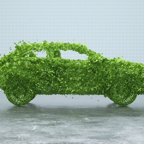 img-leaves-5591456_1280