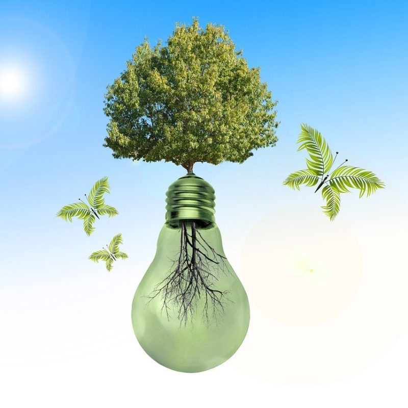 img-light-bulb-6798760_1280