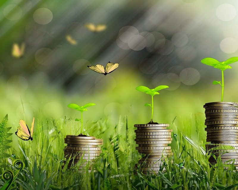 img-money-6692564_1280