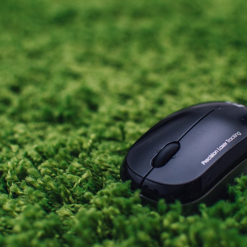 img-mouse-2618681_12801