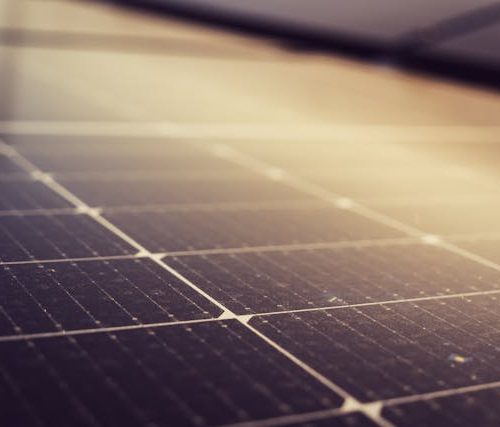 img-pexels-michael-pointner-18306342