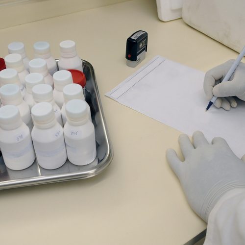 img-report-1698842_1280