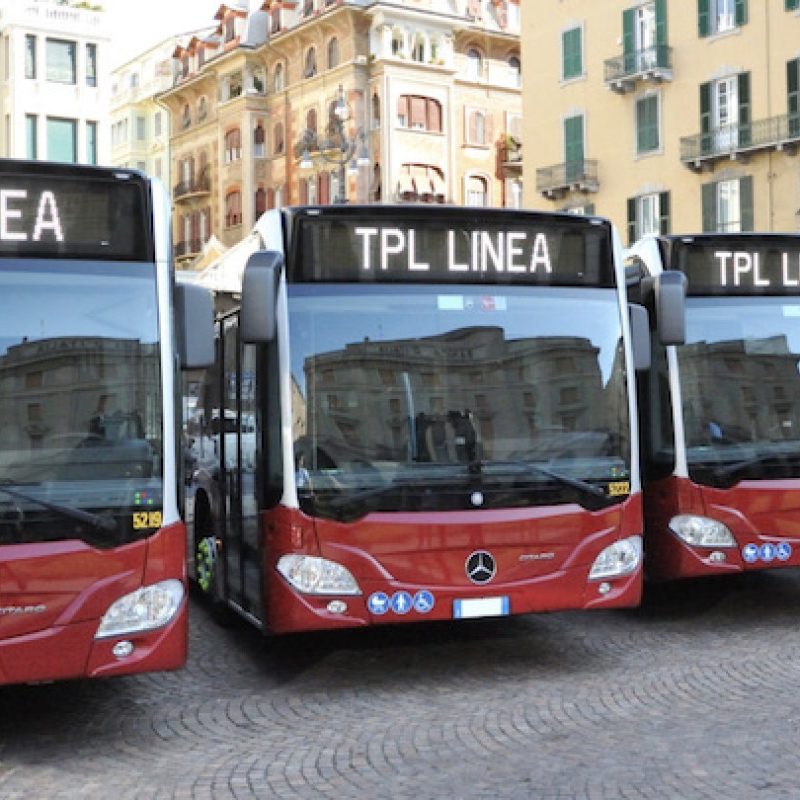 img-tpl-di-linea1